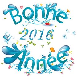 Bonne Année 2016