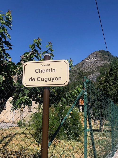Cuguyon Le Chateau (Selonnet)