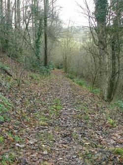 Le circuit de Dampierre 