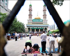مدونة لقمان