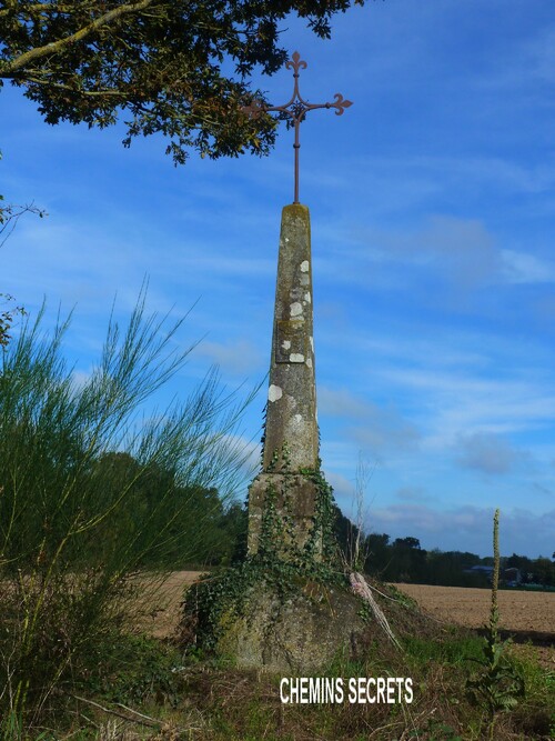 Le chemin de Bressuire à Fontenay (1)