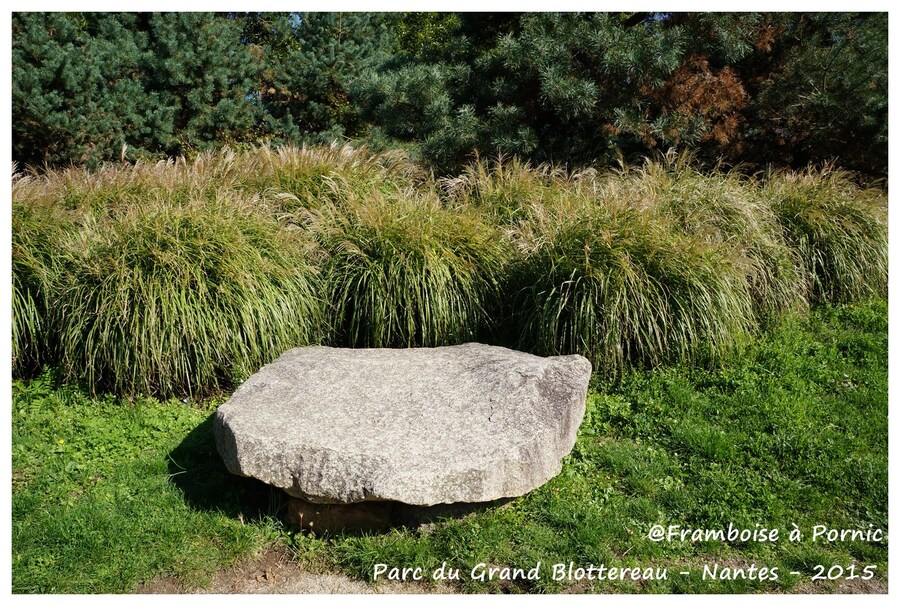 Nantes Parc du grand Blottereau - colline de Sunchéon - 2015