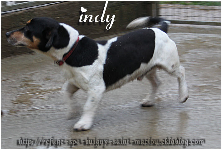 Photos du 14/12/12 - Indy