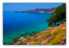 Corse