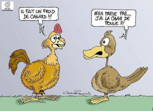 Humour du jeudi ... !!!