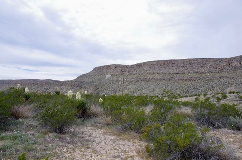 Jour 7 - Big Bend National Park