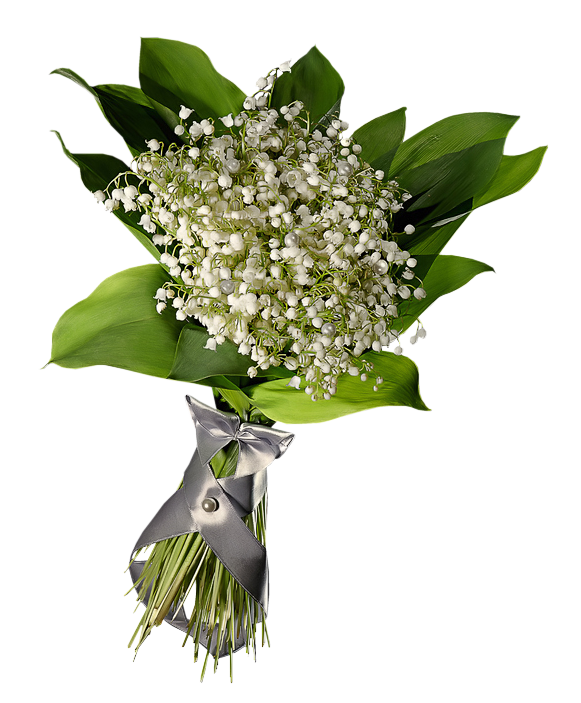 TUBES 1 MAI MUGUET PNG....BONNE SOIREE A VOUS ET A BIENTOT XOXO CAROLINE