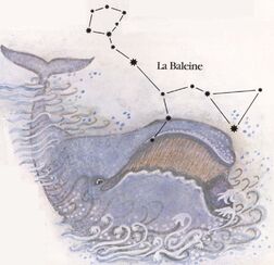 XIII - Armure de la Baleine (Cetus Cloth)