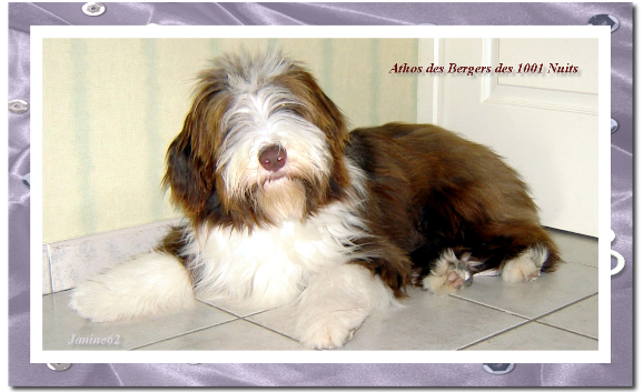Athos Athos