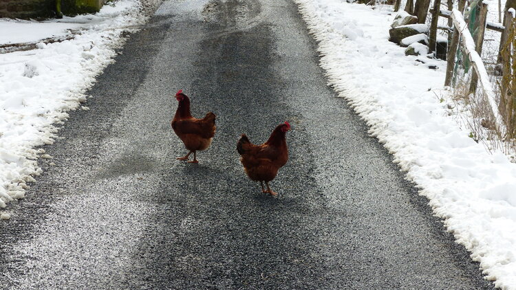 La neige...