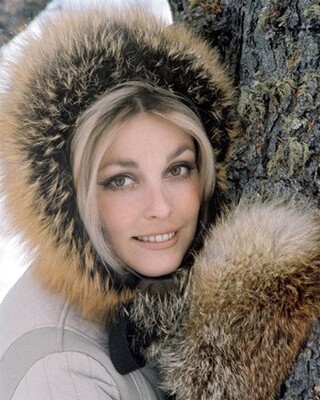 Sharon Tate