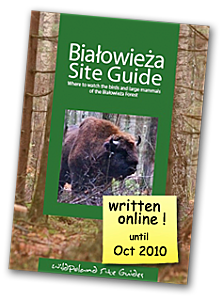 bialowieza-sg-okladka2009-t1