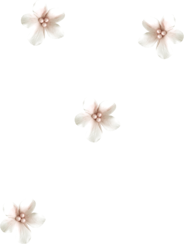 Fleurs en Farandole Série 29