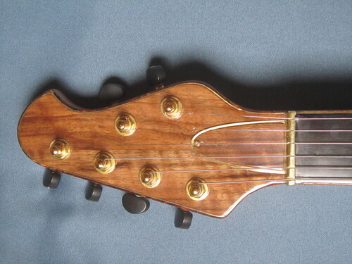 Guitare Dauphin