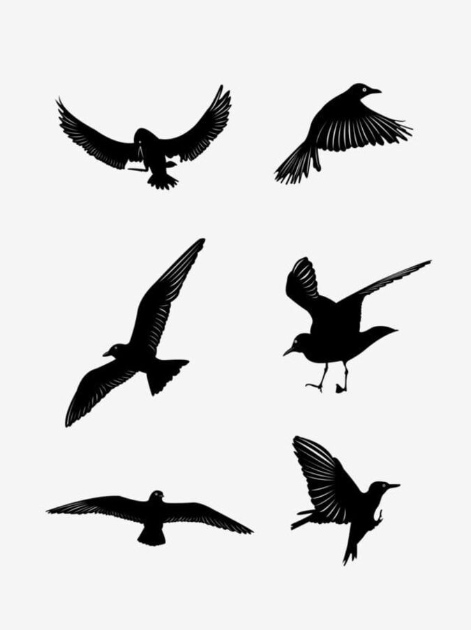 46 Silhouettes D'oiseaux Volants Vecteur Libre PNG , En ...