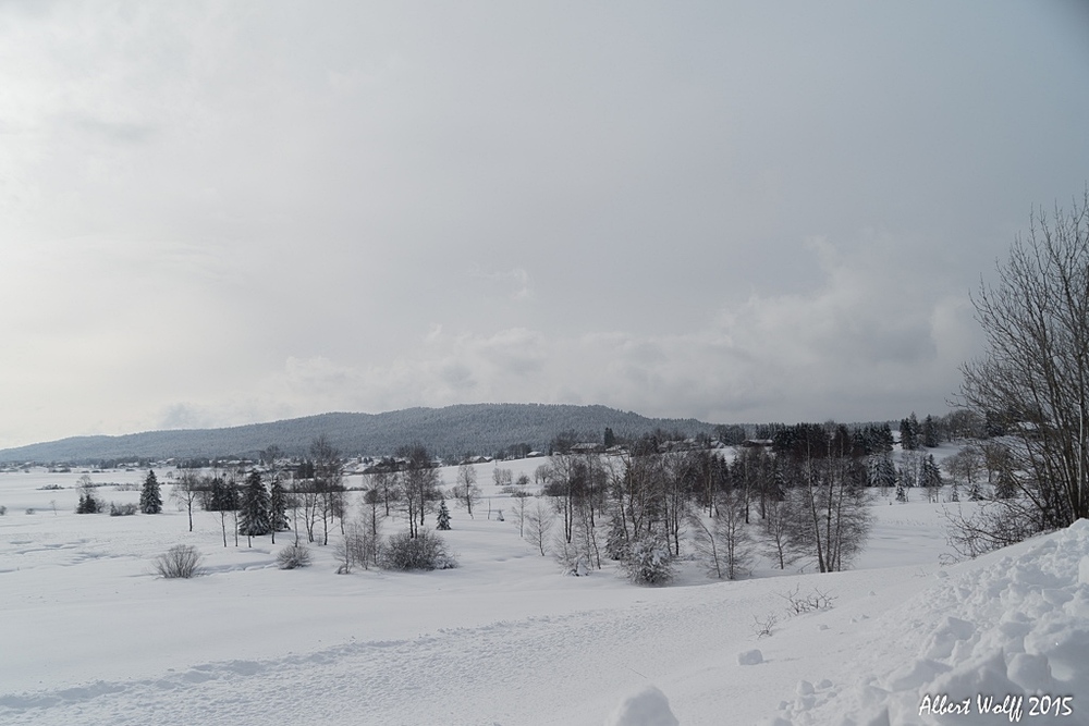 La  neige, c'est aussi  de la couleur...