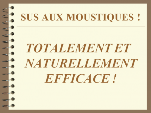 COMMENT ELEMINER LES MOUSTIQUES (tres efficace)