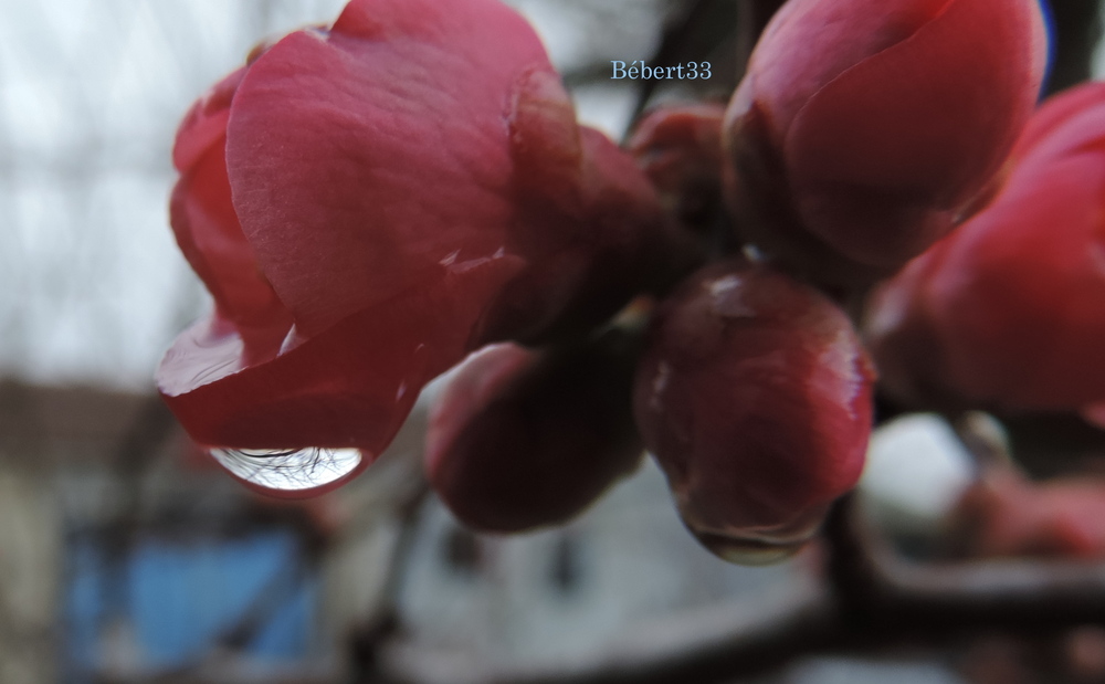 une goutte d'eau magique