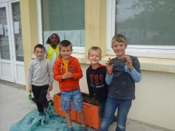 Projet plantations