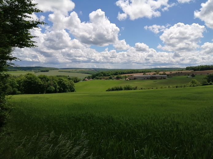 Marche du week-end en Côte d'or