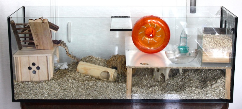Aménagements et accessoires pour la cage - Le Hamster Russe