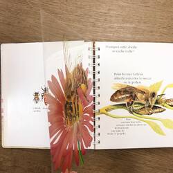 Selection de livres sur les abeilles