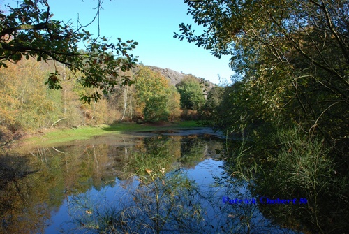 Le Val sans retour et Trehorenteuc 56430