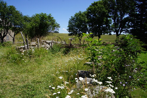 Echappée Belle dans le Cantal (2)