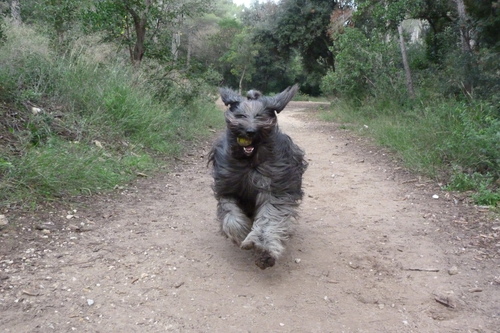 la liberté c est courir ,courir....