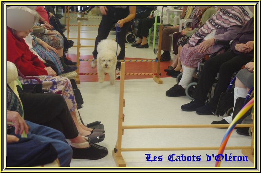 Animation à la maison de retraite de St Pierre d'Oléron le 12 décembre 2014