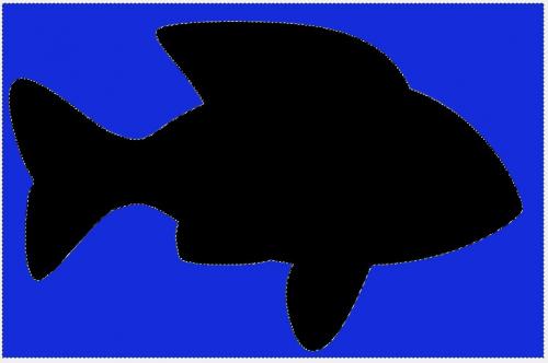 Le calque autour du poisson est mis en bleu