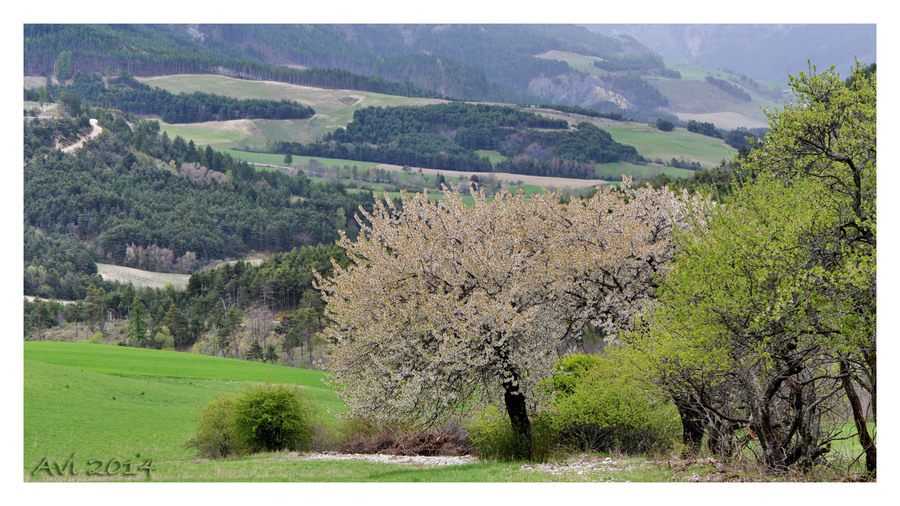 Une petite promenade entre deux averses