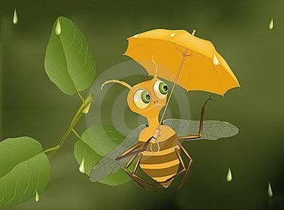 pluie-insectes5.jpg