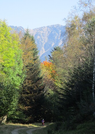 VTT : Bòrdes de Sauvaga (col du Portillon) - 31/Val d'Aran