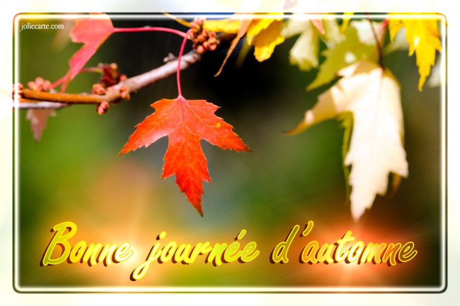 RÃ©sultat de recherche d'images pour "bon mardi d'automne"