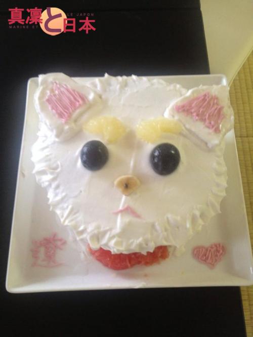Le gâteau chat de Ryô car il adore les animaux