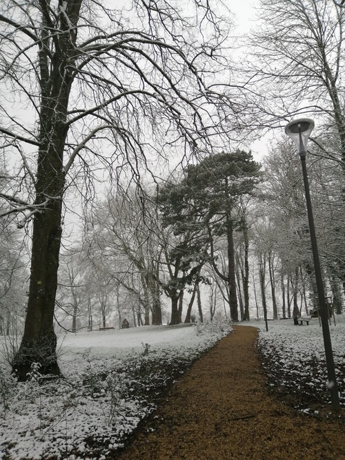 Notre parc enneigé