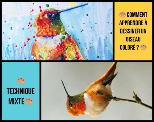 Dessin et peinture - vidéo 3288 : Comment apprendre à dessiner un oiseau coloré ? - Technique mixte.