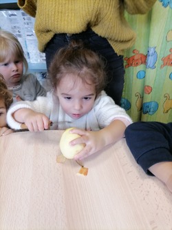 PS MS - Atelier compote de pommes