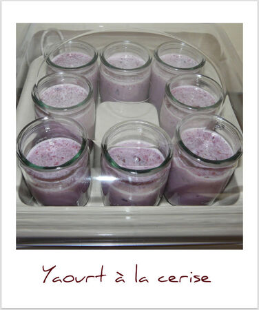 yaourt___la_cerise