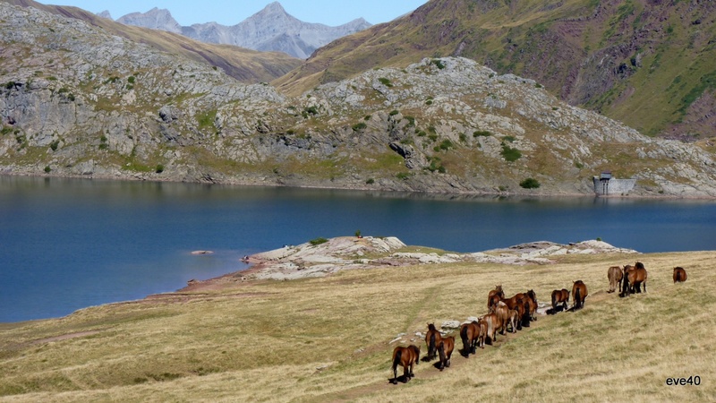 Le lac d'Estaëns.