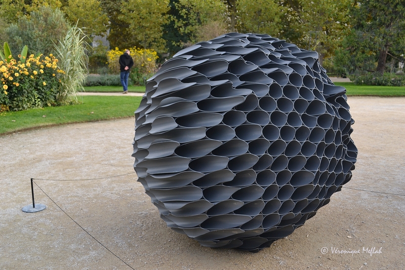 Jardin des Plantes : FIAC 2015 : "Sans titre" de Vincent Mauger