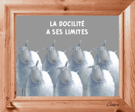 gif animé un troupeau de moutons : la docilité a ses limites