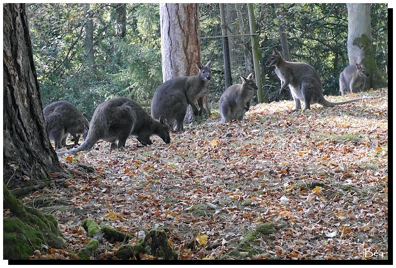 Le parc en automne