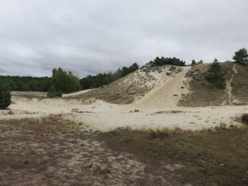 Rando en forêt de Fontainebleau