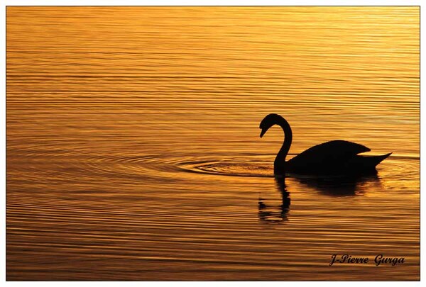 Couchers de soleil sur le lac de Marcenay, de très belles photos de Jean-Pierre Gurga...