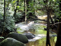 Chutes Fourgassié