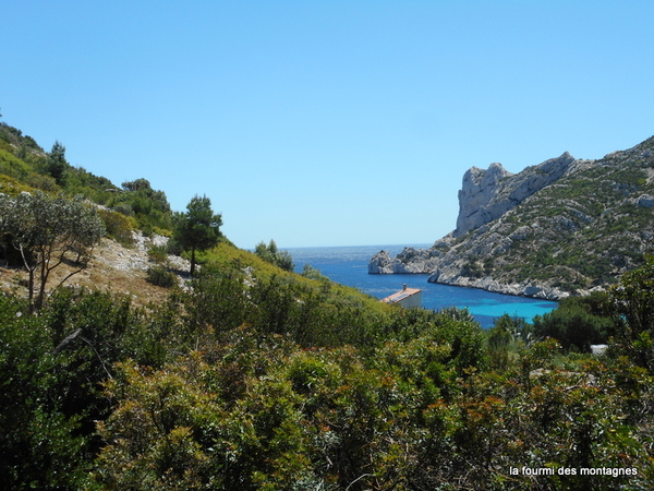 Les calanques