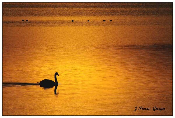 Encore de très belles photos de Jean-Pierre Gurga : crépuscule au lac de Marcenay...