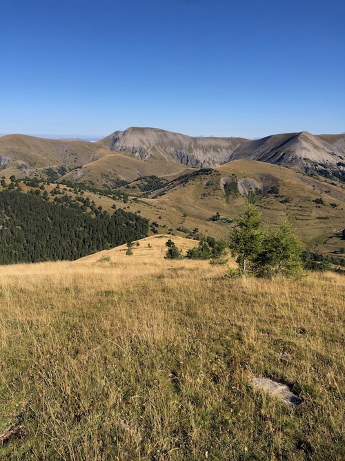 Clôt de Bouc (Selonnet)